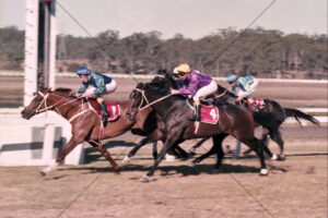 Horse Racing Finish Drive - Three Runners Charging 6x4 Photo Print