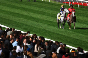 Raceday Parade Moment - Grey Horse With Handler 6x4 Photo Print