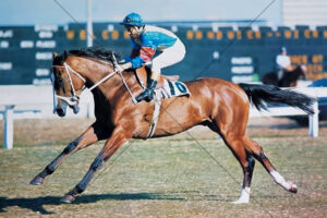 Fitzroy FC Team Line-Up Vintage Weekly Times Style 6x4 Photo Print