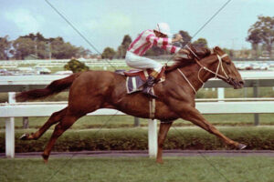 Gavin Wanganeen Steadies for a Set Shot - Essendon Era 6x4 Photo Print