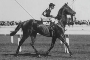 Gurners Lane Wins 1982 Melbourne Cup - Rail Run Finish 6x4 Photo Print