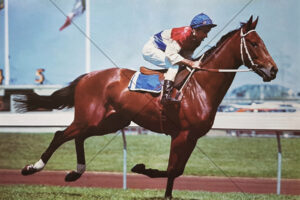 Honest John Tait - Classic Portrait Caricature Style 6x4 Photo Print