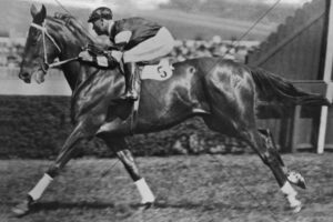 Jim Pike Rides Phar Lap Pre Race Focus At Randwick 6x4 Photo Print